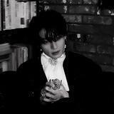 𝐒𝐓𝐑𝐄𝐄𝐓 🕸