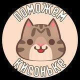 Кошачья жизнь. Приют Поможем кисоньке