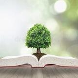 ☘️ قراءة ووعي ☘️