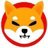 Shiba Yields