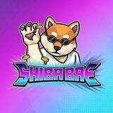 $SHIBABAE OFFICIAL
