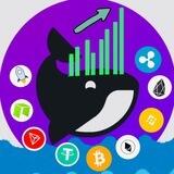 Whale Technical Analysis 💰