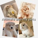 Animals and my pets🐾