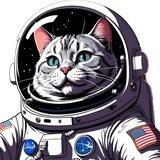 Space Cat