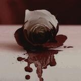 𝐵𝐿𝑂𝑂𝐷𝑌 𝐵𝐿𝑂𝑂𝑀