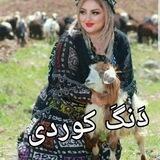 🎶دَنگَ کوردی🎶