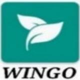 wingo official plan group