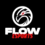 FLOW ESPORTS REGLAMENT