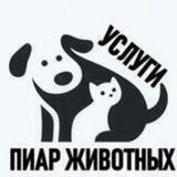 Пиар любых животных ( в дар и на продажу)