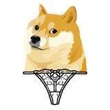 DOGE STYLE