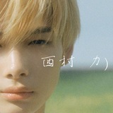 ˏˋ лунный кот ♡ ˎˊ ˗