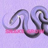 Snake Grow BSC
