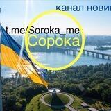 Сорока
