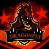 DRAGONFLY SH!TPOST