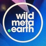 WILD META HEROES