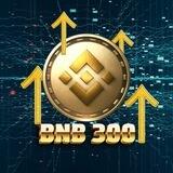 BNB 300