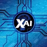 X Ai - Entry