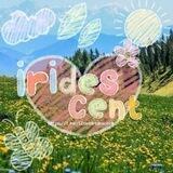 𝐂atalog 𝐈ridescent