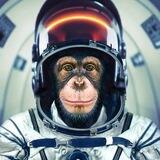 AstroChimp'calls