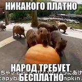 Бесплатные мемы ツ︎