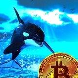 Whales