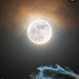 TO THE MOON