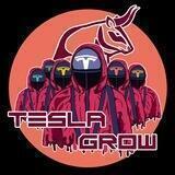 Tesla Grow - Portal