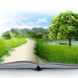 آب، امنیت، محیط‌‌زیست