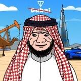 Sheikh — cult community 🐫🫵🏽