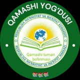 QAMASHI YOGʻDUSI