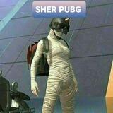SHER PUBG