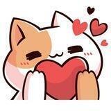 MeowTesti