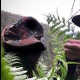 🌲Thulean Nature🌲