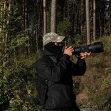 Записки фотоохотника 📷🦅