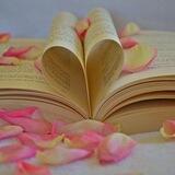 Die Liebe war zuerst da! 💗 7776