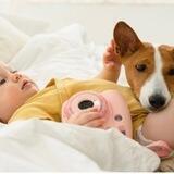 Pawsfriends