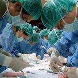 ANATOMY FOR DENTAL, MEDICAL AND PHARMACY STUDENTS