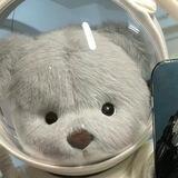 cozy bear