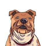 Dogs Rock channel