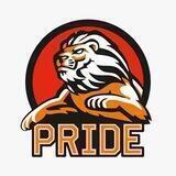 «Pride» команда по специальному хоккею