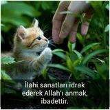 İLAHİ SANATLARI TEFEKKÜR EDİYORUZ. 🌹