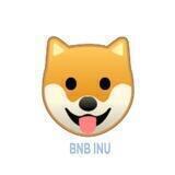 BNB INU
