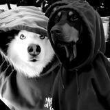 breed