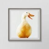 Quack - A Duckers Dream
