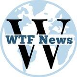 WTF🌐News