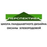 ПЕРСПЕКТИВА