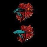 Betta_SMM