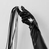sadistic bitch bdsm diary