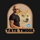 TATE TWOGE - PCS LAUNCH TODAY 14.00 UTC