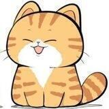 Orange cat橘猫官方中文社群